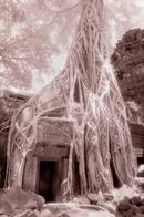 Angkor Cambodia